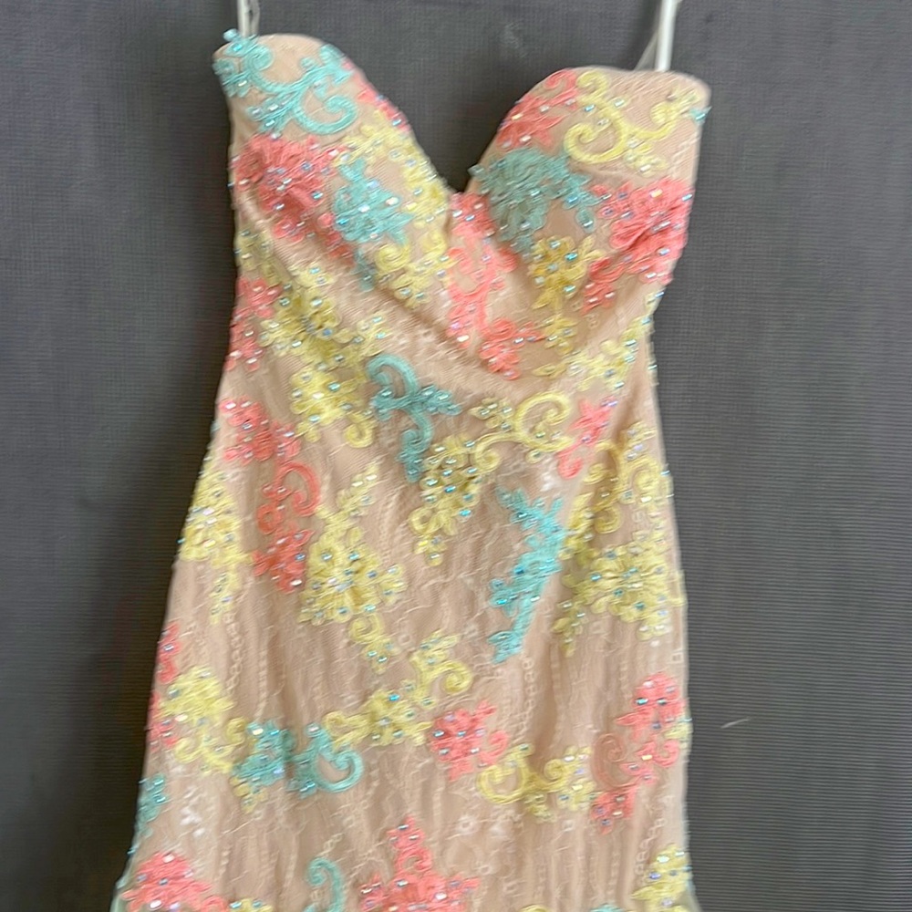 Nina Canacci hand-beaded garment Gown size 7/8 mint/nude